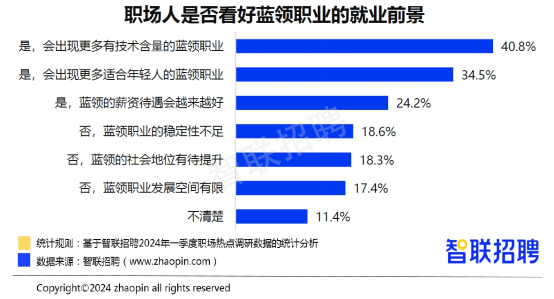 深度解析，2024年12月2日路桥劳务市场最新招聘测评介绍