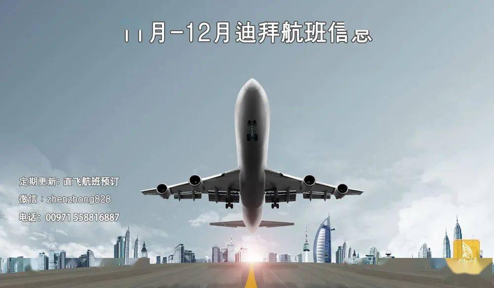 2024年12月4日 第7页