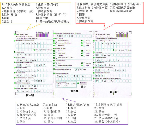 2024年12月5日 第29页