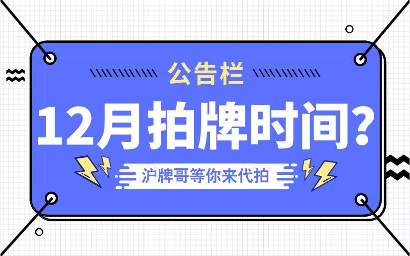 2024年12月5日 第12页