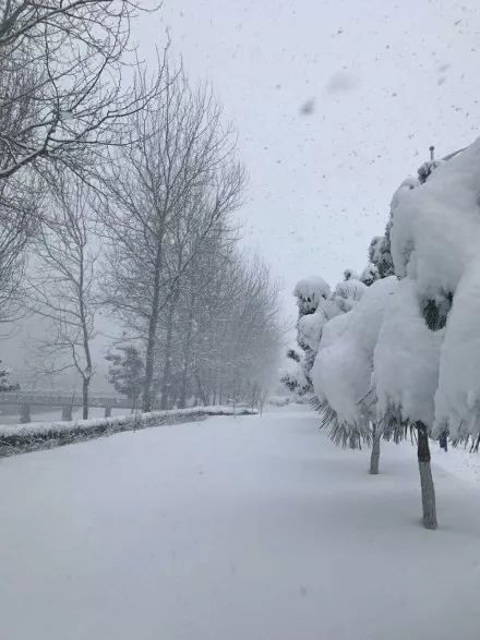 微信朋友圈里的暖心冬日，雪中温情故事记录日常