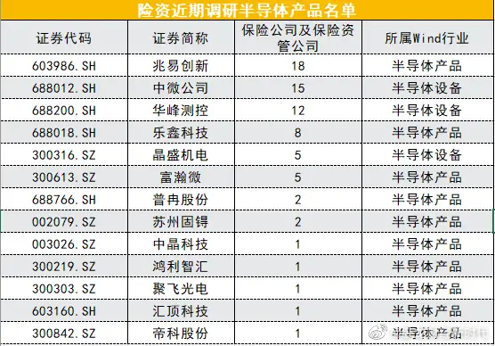 聚焦易道未来动向，2024年12月6日的最新消息与展望