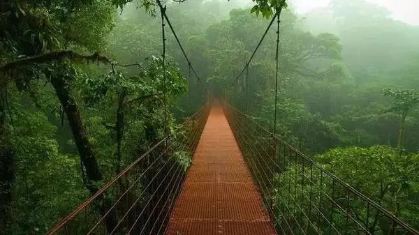 揭秘十二月生物最新技术，探索自然美景，寻找内心宁静与平和之旅