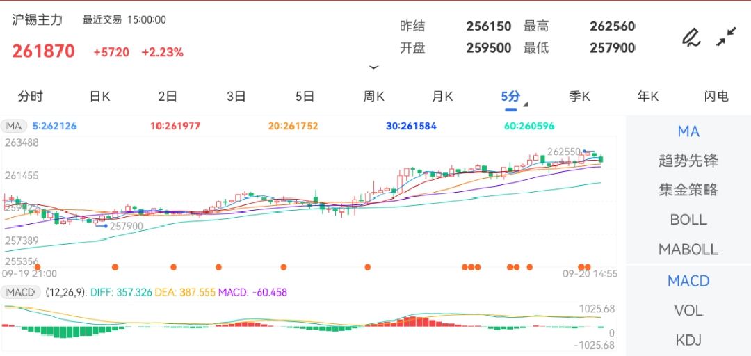 2024年12月10日伦锡期货行情深度解析，实时波动与影响