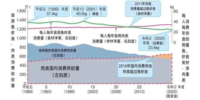 2024年12月 第293页