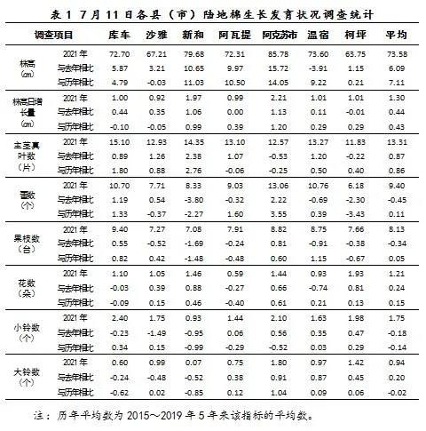 台铃虎贲历年12月18日真实时速揭秘，科技巅峰之作的探寻之旅