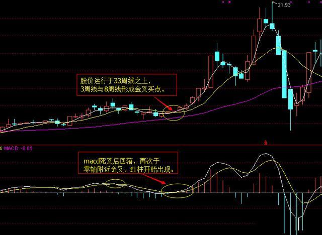 揭秘股市亏损真相，掌握实时变化，从亏损中找寻成长力量，股市实时亏损不再可怕！