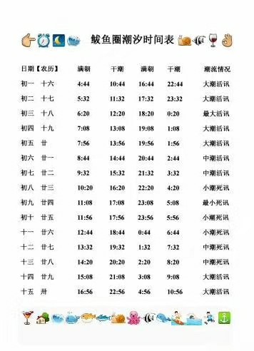 湛江潮汐之旅，追寻潮汐脚步，探寻内心宁静——历史上的潮汐表查询与实时潮汐信息