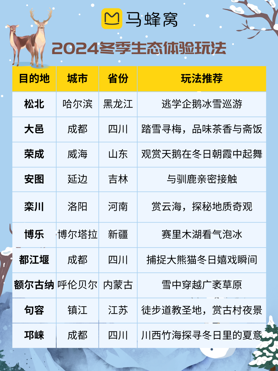 揭秘历史滴滴普通型实时单背后的故事，探寻滴滴单在小红书上的历史轨迹！