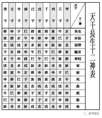 威斯汀股价实时更新，时光之桥下的温馨日常与股价走势猜测