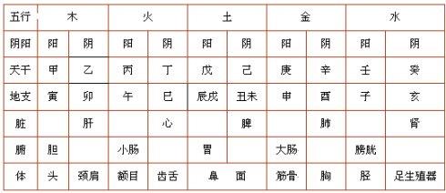 时光之谜，友情、数字与抠字视频软件的温馨探索