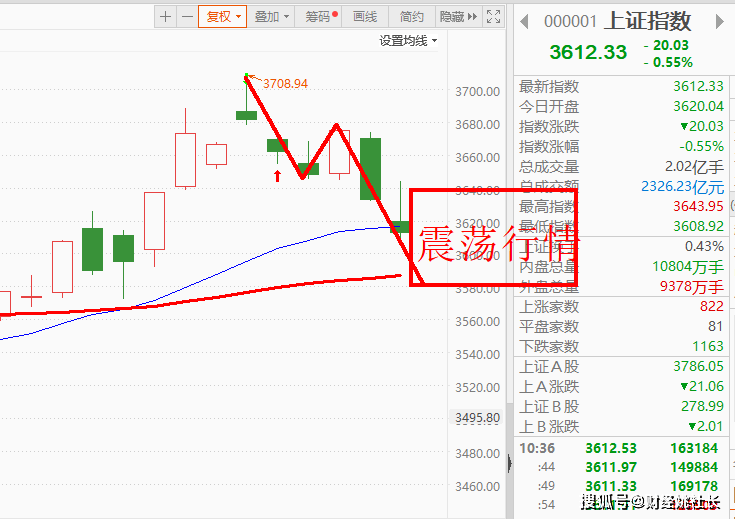 唐山黑豆袋价格走势深度解析