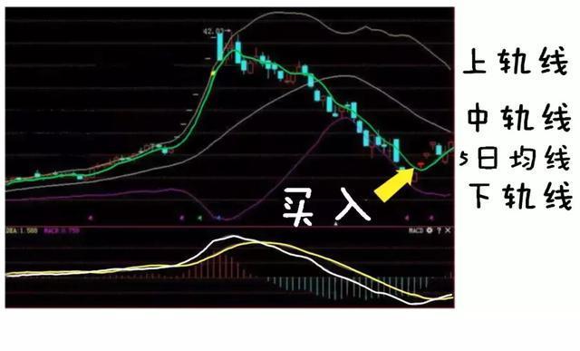 股票投资中的45日线与季线深度解析