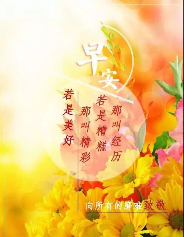 励志烧菜语录，简短智慧，鼓舞人心瞬间