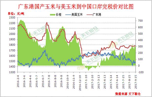 庆阳市玉米最新行情，今日价格走势分析