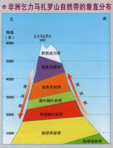 细嫩反义词深度解析，粗犷、粗糙与成熟之对比