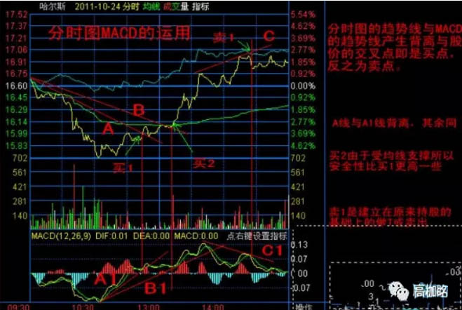 警惕股票陷阱，深度探讨股票投资的风险与反思