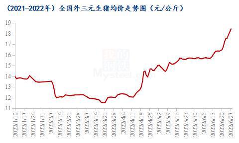 未来猪价走势预测，深度解析行情趋势