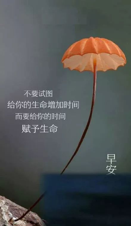 励志懂你，短句唤醒心灵的力量