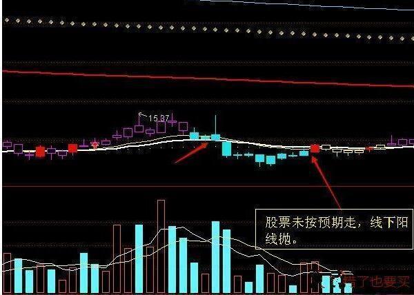 北京市场鸡蛋价格走势揭秘，以案例剖析44斤鸡蛋行情分析