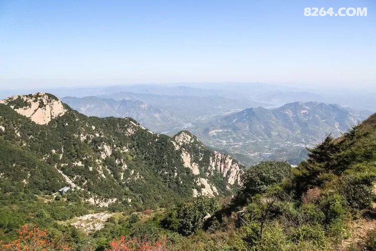 泰山竞技盛宴，直播山东泰山比赛，一览众山小！