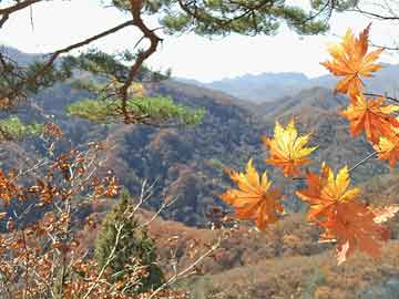 辽宁葫芦岛11月新闻热点，学习变革浪潮中的自信成就梦想之舟