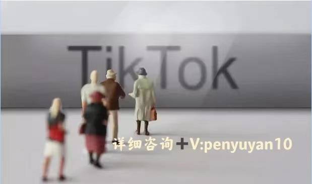 TikTok国际版下载最新攻略，30日内掌握下载技巧