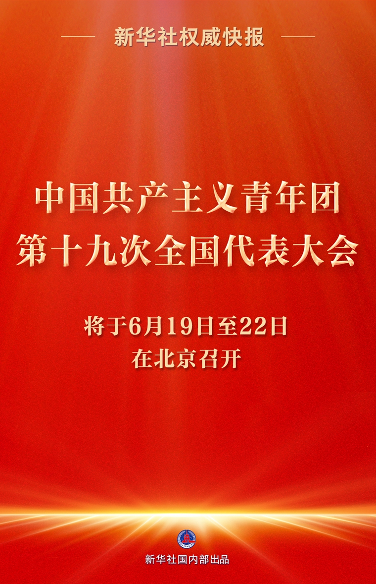 11月1日十九日多维度观点碰撞，新纪元变革的深度探究