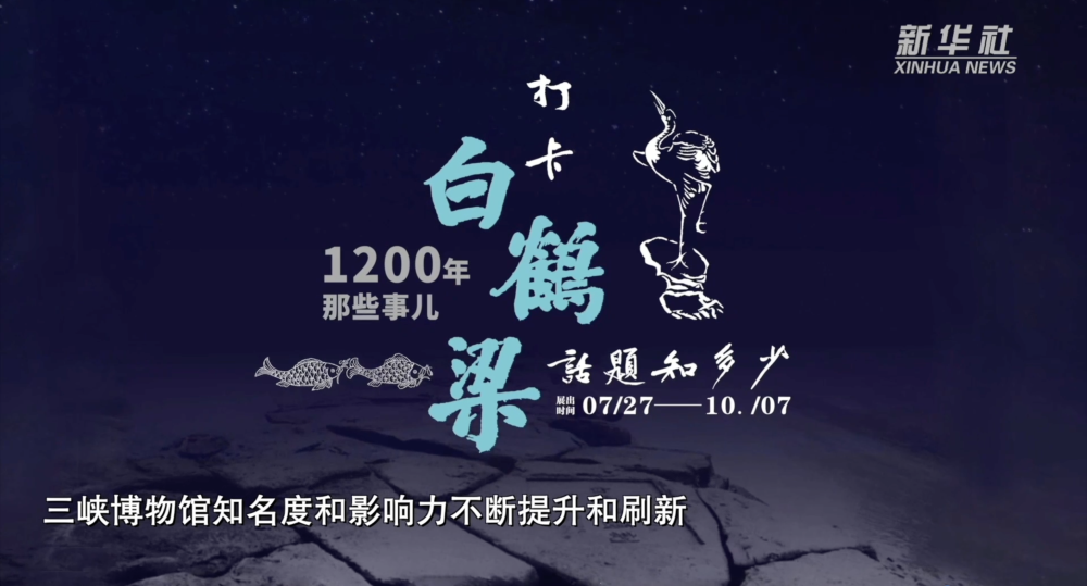 11月3日艺术人生新篇章，变化中的学习之旅与自信成就感的绽放