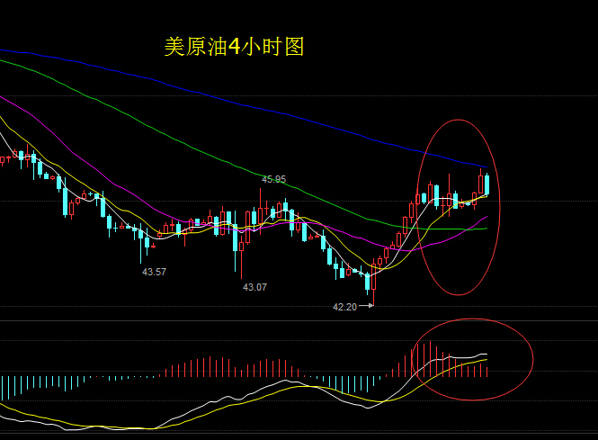 11月4日晚间原油走势解析，智慧、变化、学习与自信的力量