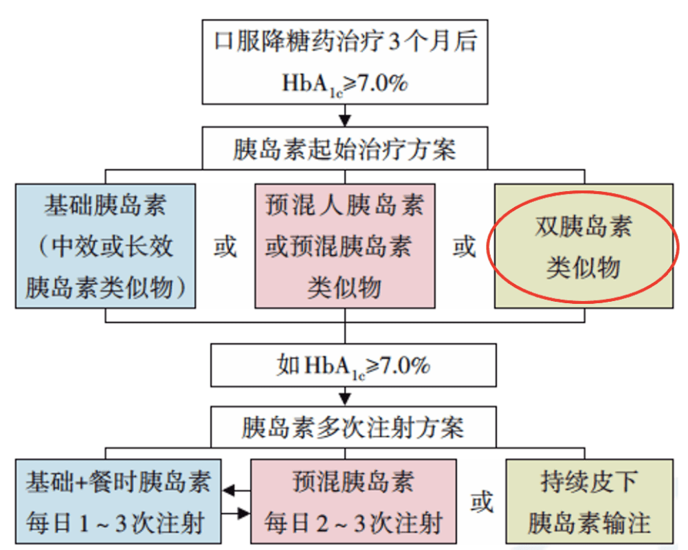 浦江新篇章揭秘，解读最新通告，探寻未来发展新动向