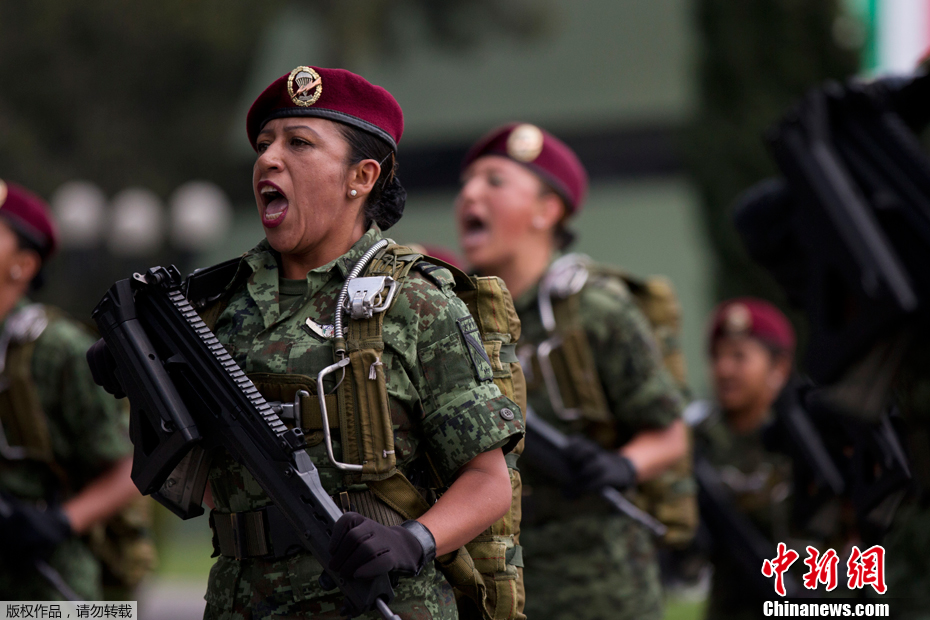 女兵与团子的暖心日常，特别记忆之11月5日