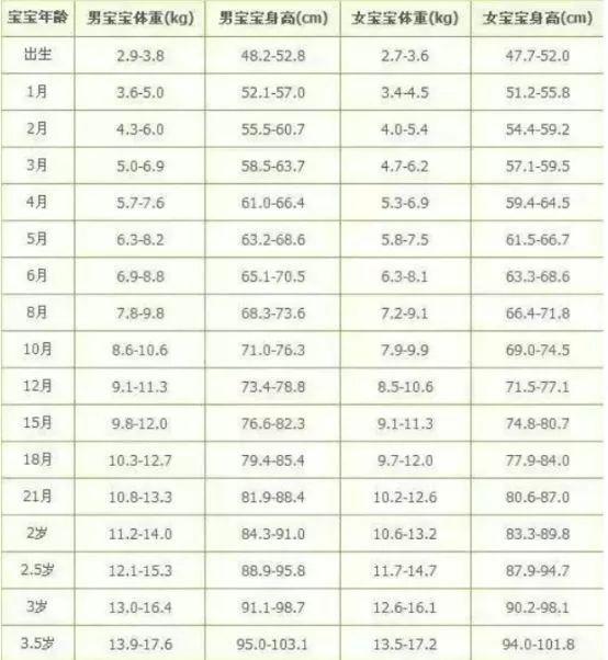 2024年11月5日 第37页