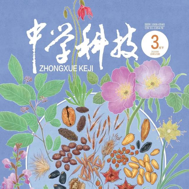 橘虞初梦 第48页