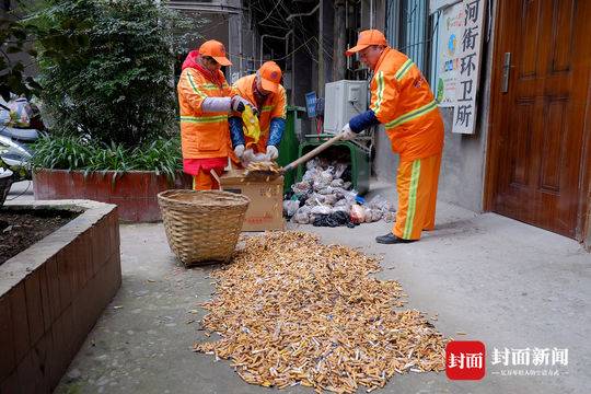 蒙阴新闻揭秘，小巷深处的隐藏宝藏，特色小店惊喜之旅开启