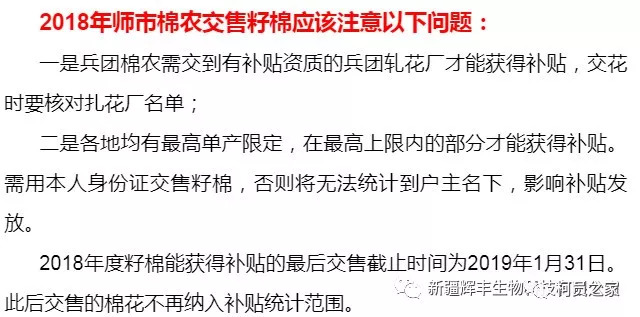 历史上的11月10日棉花补贴细则更新动态及最新消息解析