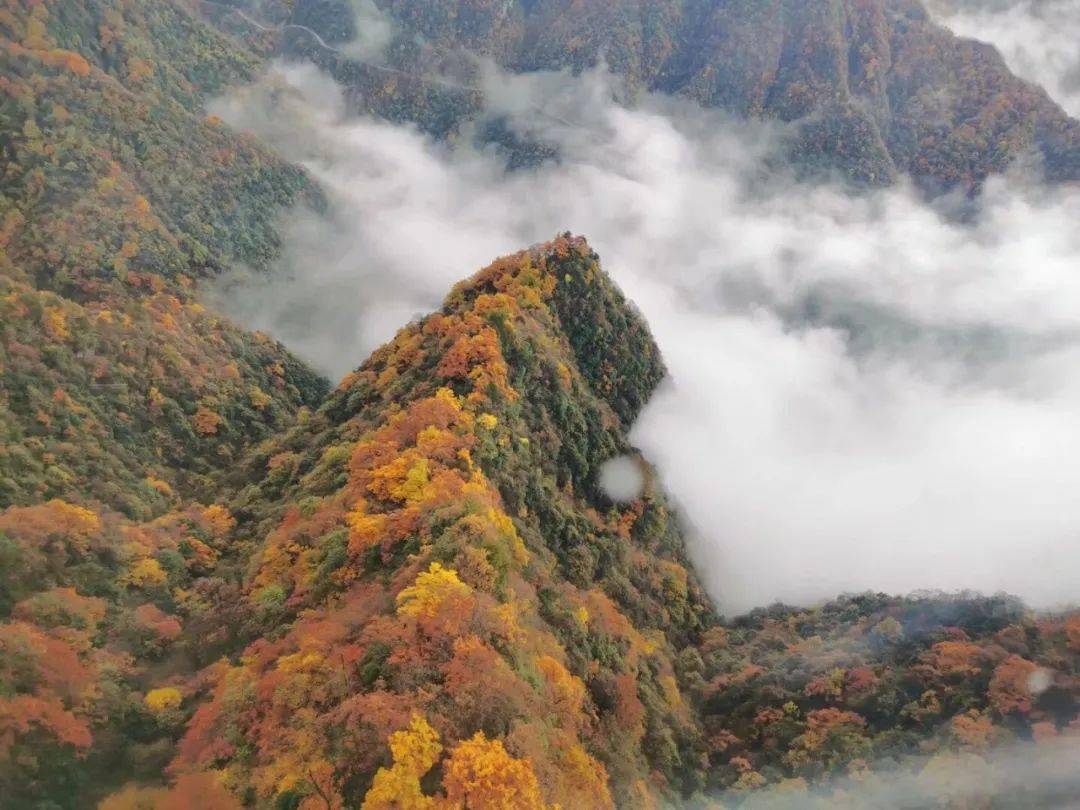 龙头山电站十一月最新进展揭秘，新篇章开启