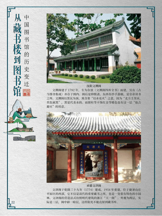 历史上的11月10日亳州白芷市场行情深度解析，价格变迁与影响分析