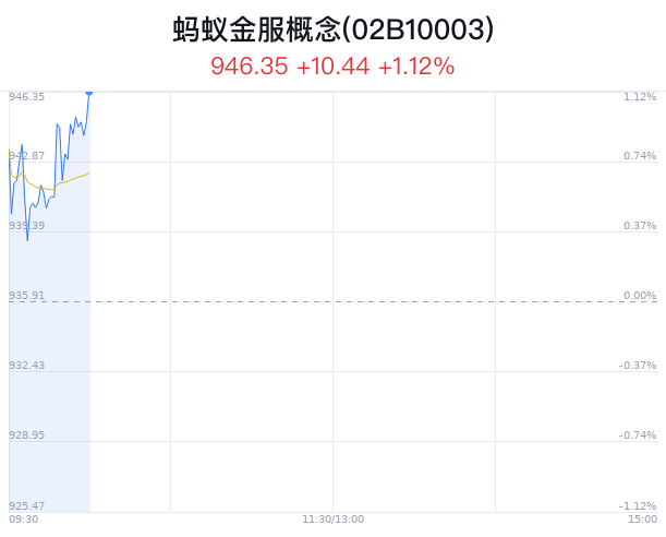 蚂蚁金服上市最新回应详解，步骤指南适用于初学者与进阶用户参考