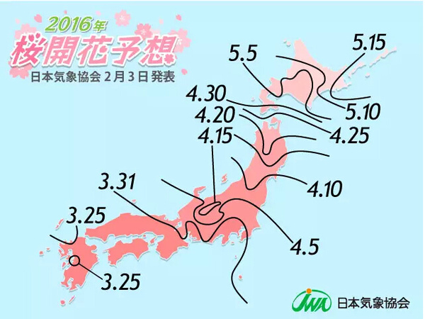 小红书带你洞悉往年11月10日边境局势深度解析与最新动态