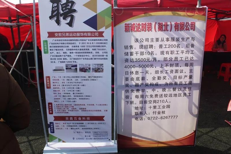 广水最新招聘信息出炉，十一月与你共赴自然之旅招聘季