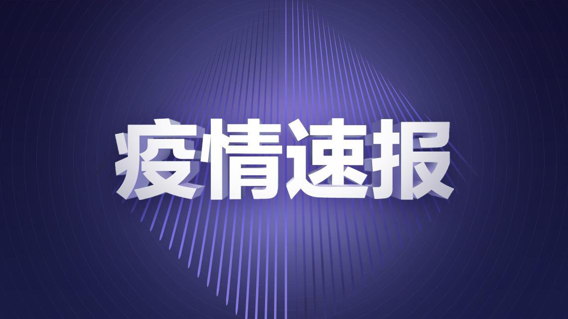 11月最新疫情官方发布，深度解读重要资讯