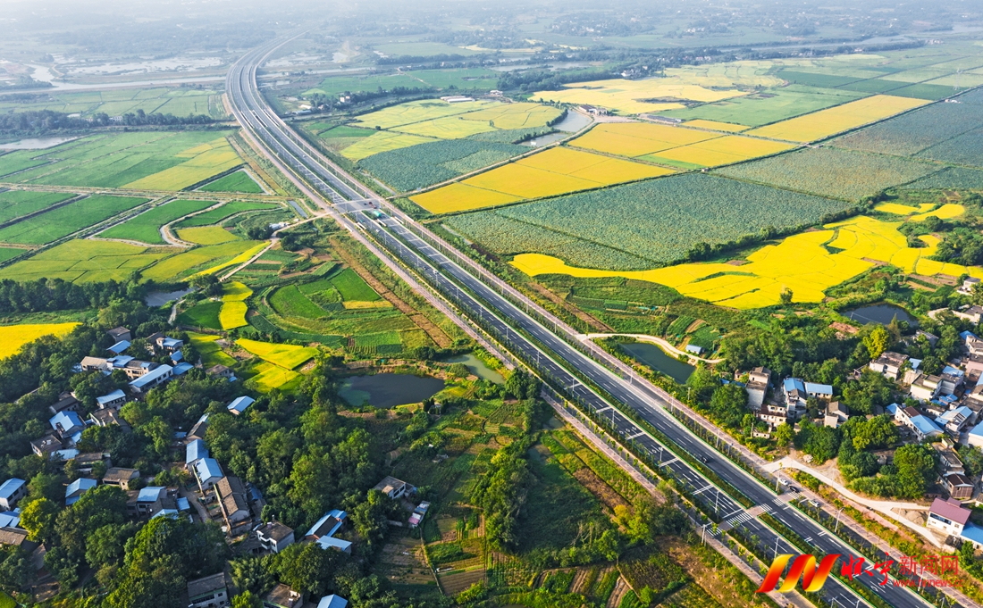 历史上的11月20日，武平智能道路科技革新之旅揭秘