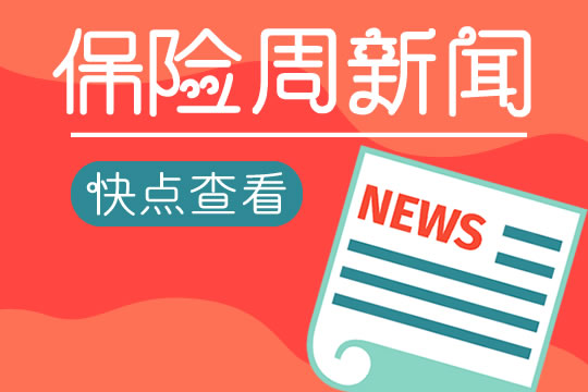 保险新政策下的温馨日常，趣事与情感纽带在11月22日的展现