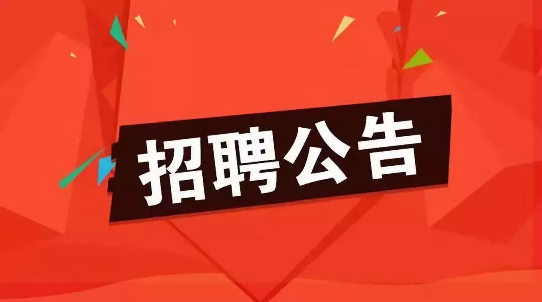 11月22日吴川司机最新招聘全面评测报告