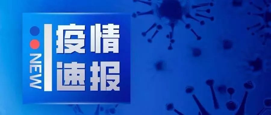 11月22日新病毒最新人数，探寻小巷深处的独特小店，揭秘病毒最新人数背后的故事