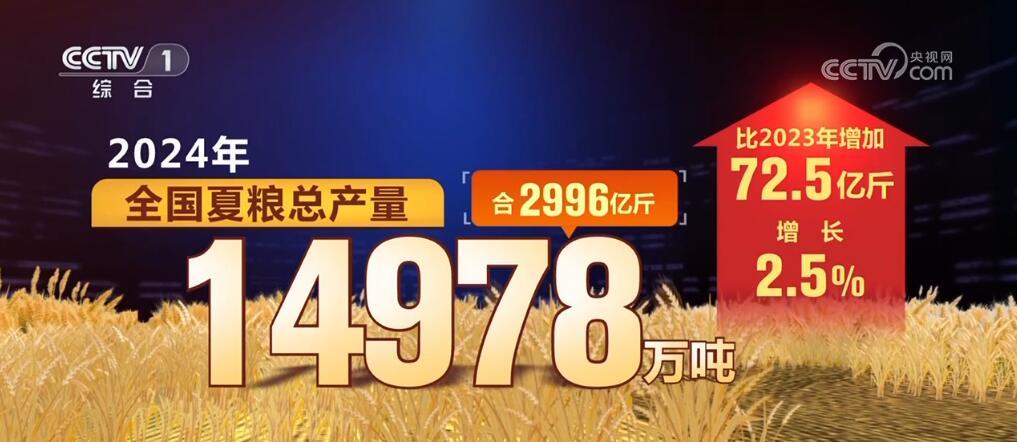 超越自我，成就梦想，与96sao共舞变革浪潮，闪耀自信之光——2024年11月25日96sao热门纪事