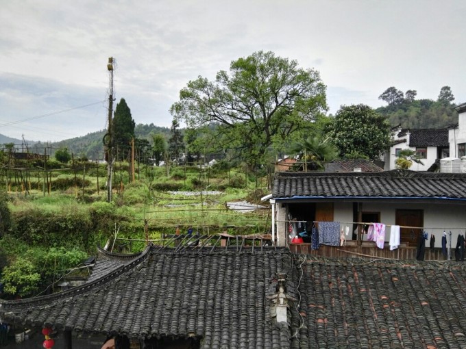 重温婺源篁岭美景，乡村魅力的实时直播日