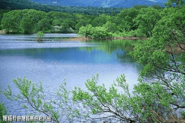 12月18日杭州景区实时路况，风景与城市的流动脉络