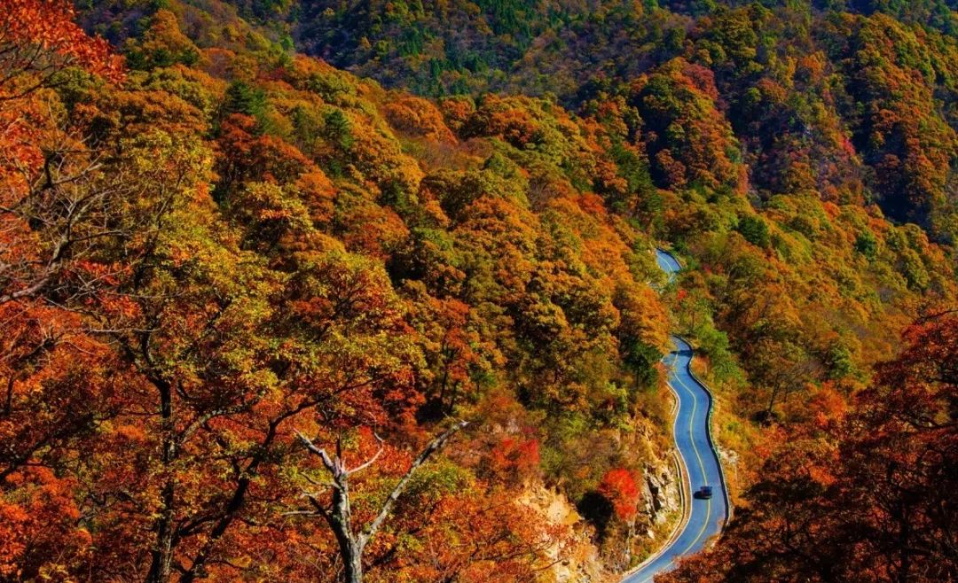 安徽地震实时更新，自然疗愈之旅在地震日展开